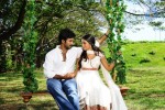 Chelagatam Movie Stills Gallery - 3 of 32