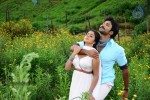 Chelagatam Movie Stills Gallery - 11 of 32