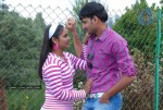 Chilipi Allarilo Chinni Aasa Movie New Stills - 1 of 25