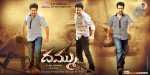 Dammu Movie Latest Wallpapers - 9 of 56