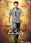 Dammu Movie Latest Wallpapers - 30 of 56