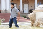 Dammu Movie Stills - 10 of 10