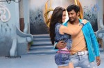 Dheerudu Movie New Photos - 7 of 27