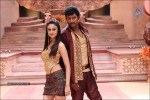 Dheerudu Movie New Stills - 3 of 14