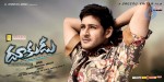 Dookudu Movie Wallpapers - 14 of 18