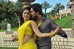 Ee Varsham Sakshiga Movie Stills n Posters - 14 of 26