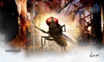 Eega Movie New Stills - 8 of 18