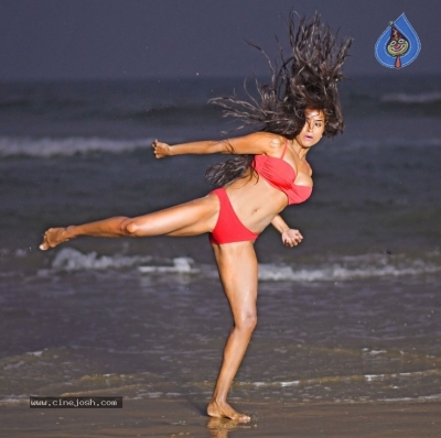 Enter The Girl Dragon Movie Stills - 5 of 13