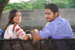 Gaja Donga Movie Stills - 39 of 67