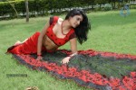 Gavvalata Movie Hot Stills - 23 of 63