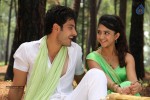 Gayakudu Movie New Gallery - 19 of 24