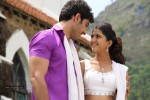 Gayakudu Movie New Gallery - 21 of 24