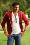 Gopichand New Movie Stills - 5 of 5