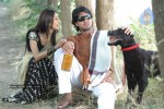 Gudu Gudu Gunjam Movie Stills - 8 of 60