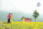 Jhummandi Naadam Movie Latest Stills - 9 of 98