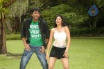 Katti Kantha Rao Movie Latest Stills - 36 of 103