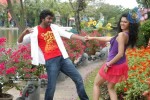 Katti Kantha Rao Movie Latest Stills - 82 of 103