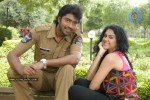 Katti Kantha Rao Movie Latest Stills - 103 of 103