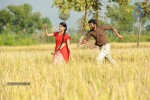 Kavvintha Movie Stills - 4 of 9