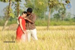 Kavvintha Movie Stills - 7 of 9