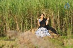 Kavvintha Movie Stills - 9 of 9