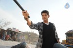 Khaleja Movie Gallery - 2 of 16