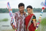 Kodipunju Movie New Stills - 39 of 39