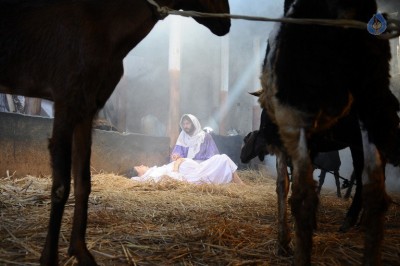 Lokarakshakudu Movie Photos - 7 of 21