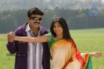 Maa Annayya Bangaram Movie Gallery - 65 of 75