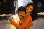 Maa Annayya Bangaram Movie Photos - 12 of 15