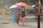 Manasunu Maaya Seyake Movie Stills - 1 of 30