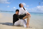 Mayagadu Movie Latest Stills - 8 of 53