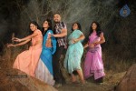 Mr. Rajesh Movie New Stills n PM - 23 of 46