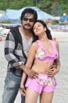 Mr Rascal Movie Stills - 25 of 86