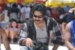 Mr Rascal Movie Stills - 37 of 86