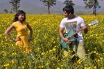 Nachithe Movie Stills - 102 of 113