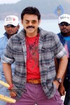  Namo Venkatesa Movie  Photos - 1 of 8