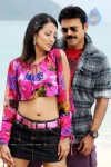  Namo Venkatesa Movie  Photos - 6 of 8