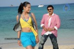 Namo Venkatesa Movie New Stills - 4 of 8