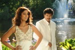 Nanban(3 Idiots Remake) Movie Stills - 4 of 16