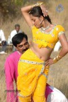 Narasimharaju Movie Stills - 5 of 17