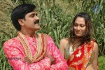 Narasimharaju Movie Stills - 7 of 17