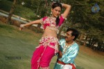 Narasimharaju Movie Stills - 9 of 17