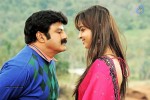 NBK Lion Movie Stills - 5 of 16