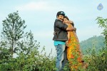 NBK Lion Movie Stills - 7 of 16