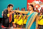 NBK Lion Movie Stills - 12 of 16