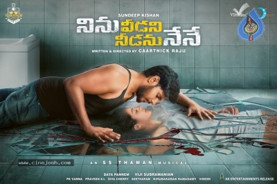 Ninu Veedani Needanu Nene Movie First Look Poster And Still - 2 of 2