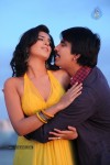 Nippu Movie Latest Gallery - 12 of 37