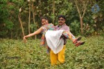 Oho Tamil Movie Stills - 64 of 77