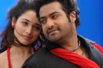 Oosaravelli Movie Stills - 5 of 17